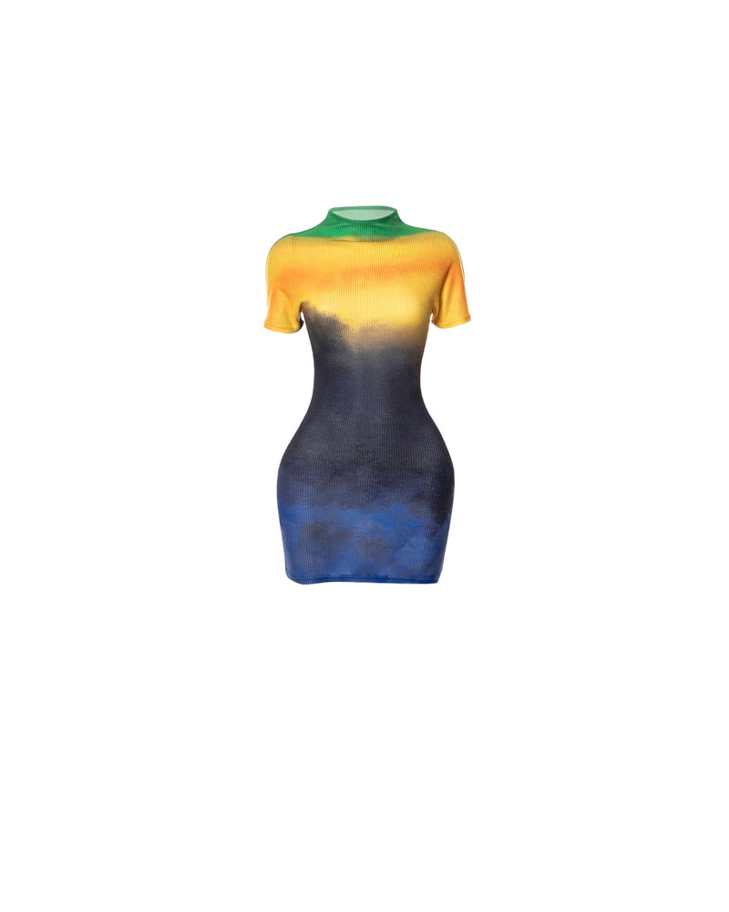 Textured Ombre Cap Sleeve Mini Dress