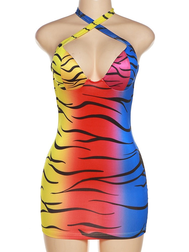 Rainbow Zebra Mini