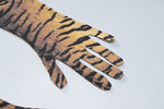 Tiger Striped Mini