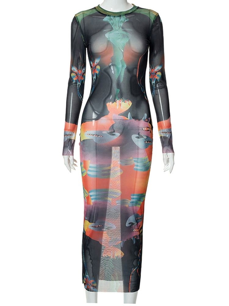 Aria Mesh Printed Dress