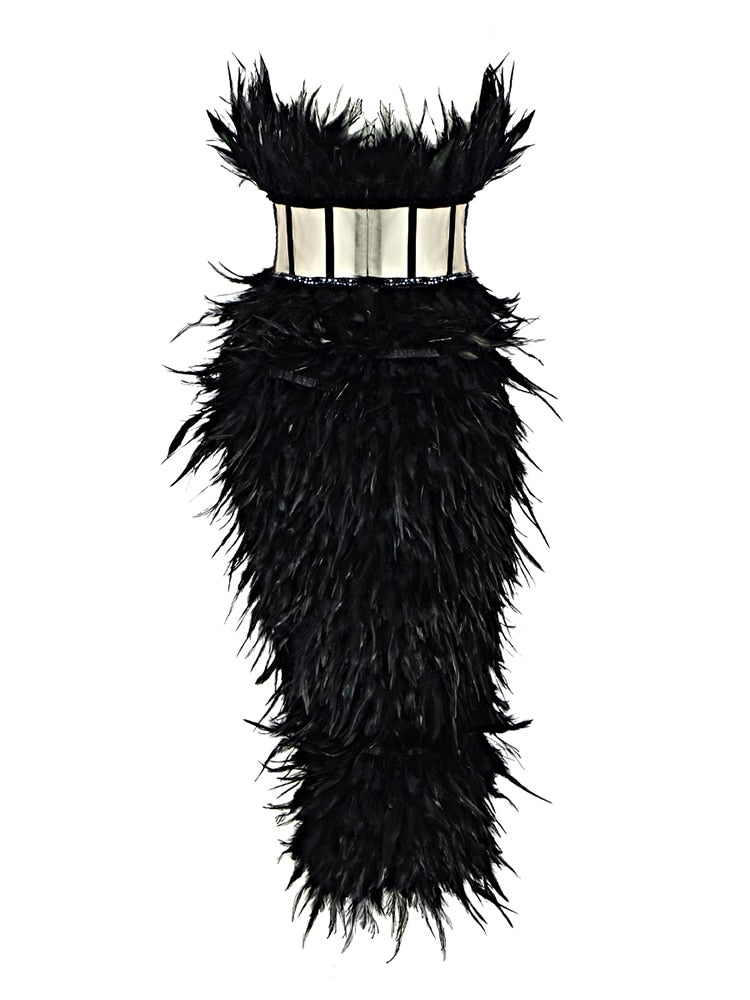 Amelia Feathered Corset Dress