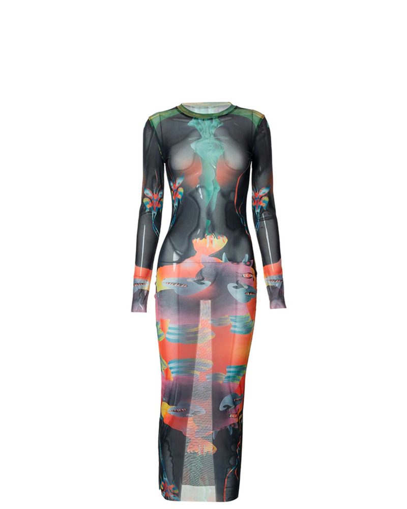 Aria Mesh Printed Dress
