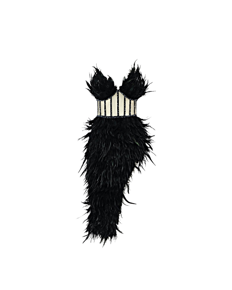 Amelia Feathered Corset Dress