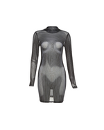Serving Body Long Sleeve Mesh Dress