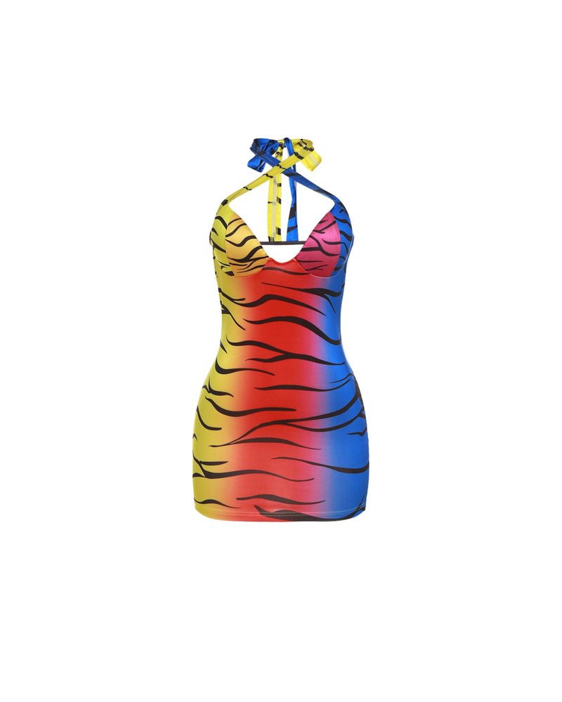 Rainbow Zebra Mini
