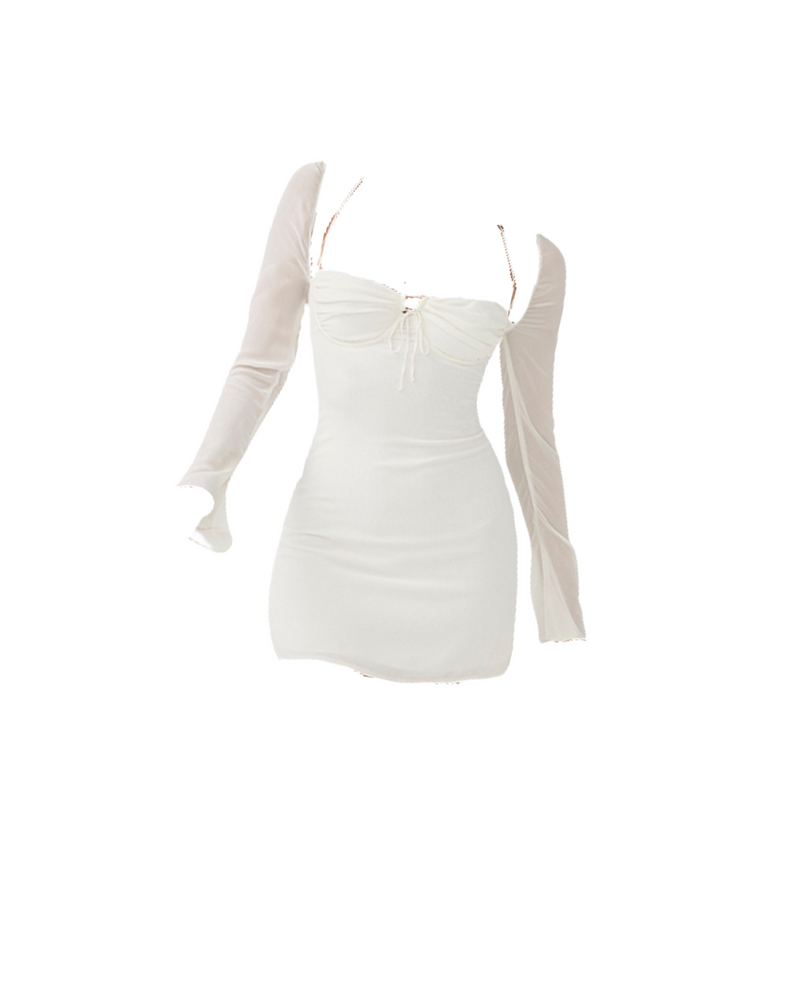 Sheer Sleeve Brunch Dress
