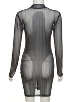 Serving Body Long Sleeve Mesh Dress