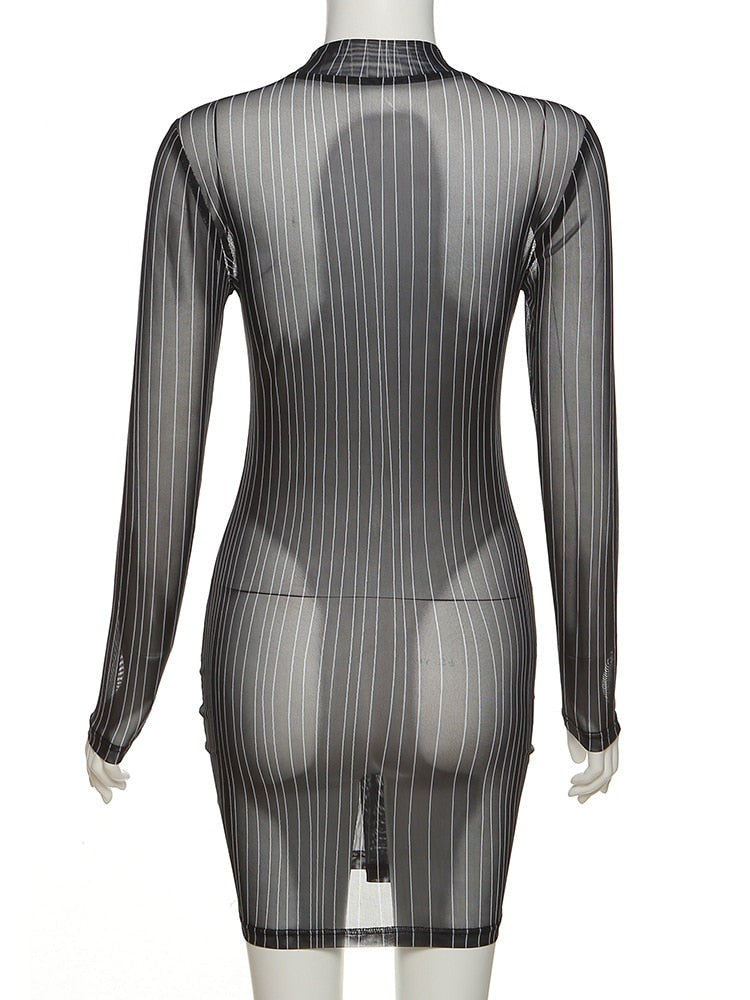 Serving Body Long Sleeve Mesh Dress