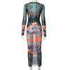 Aria Mesh Printed Dress