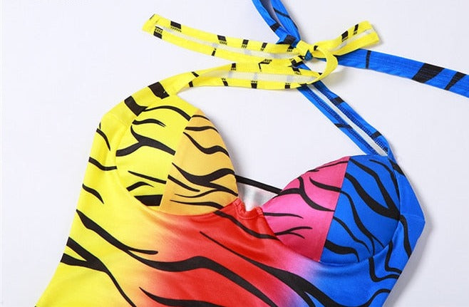 Rainbow Zebra Mini