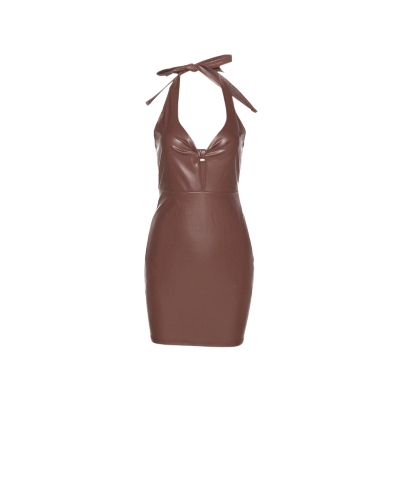Evie Faux Leather Mini Dress