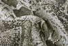 The Snake Print Maxi